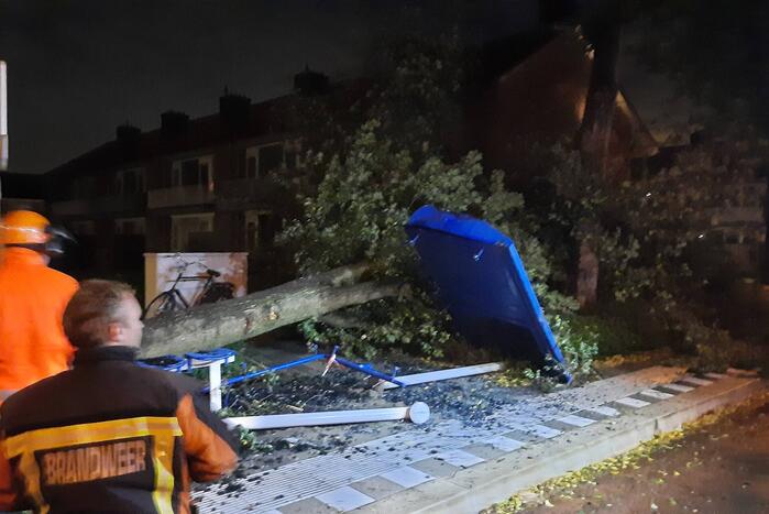 Bushalte verplettert door omgevallen boom