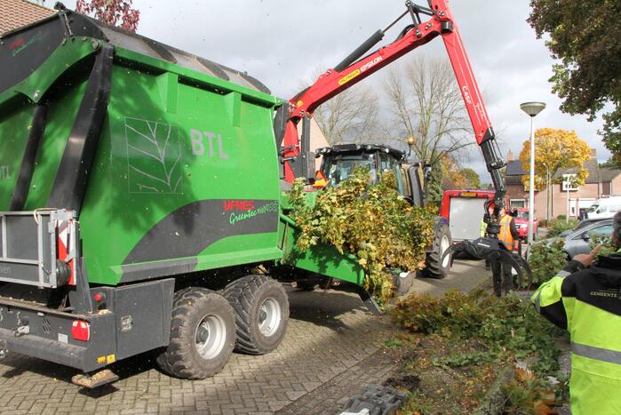 Boom uit grond gewaaid