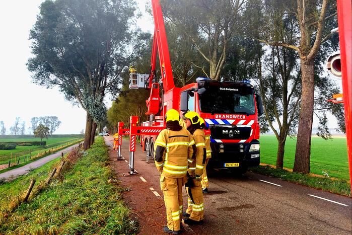 Brandweer verwijdert gevaarlijke hangende tak