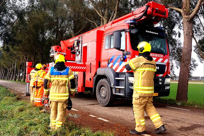 Brandweer verwijdert gevaarlijke hangende tak