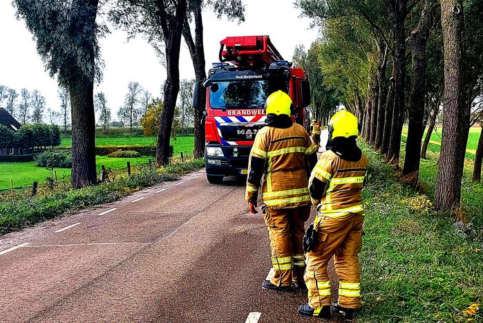 Brandweer verwijdert gevaarlijke hangende tak