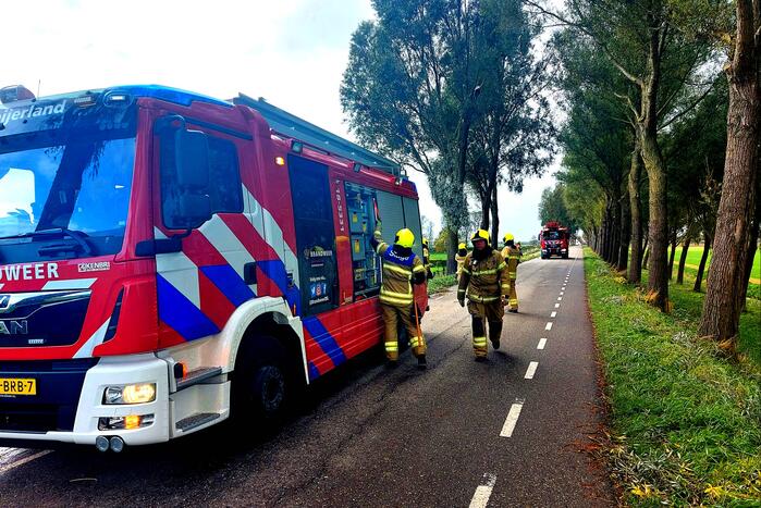 Brandweer verwijdert gevaarlijke hangende tak