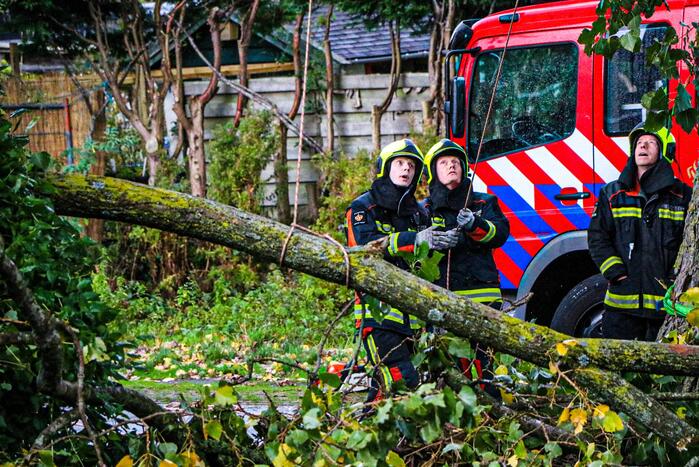 Takken dreigen op woning en fietspad te vallen