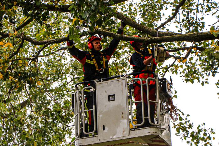 Takken dreigen op woning en fietspad te vallen