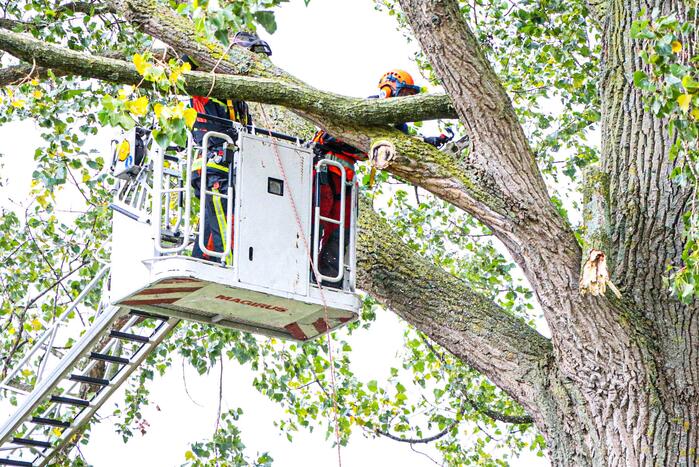 Takken dreigen op woning en fietspad te vallen