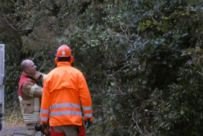Brandweer zaagt boom om