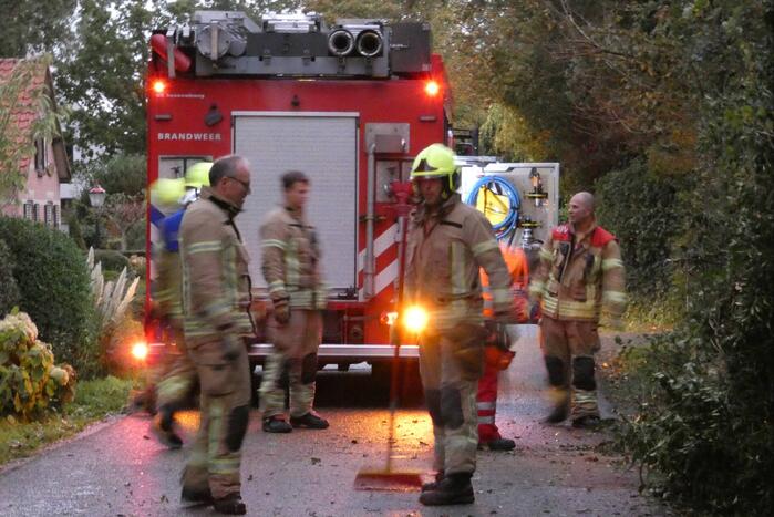 Brandweer zaagt boom om