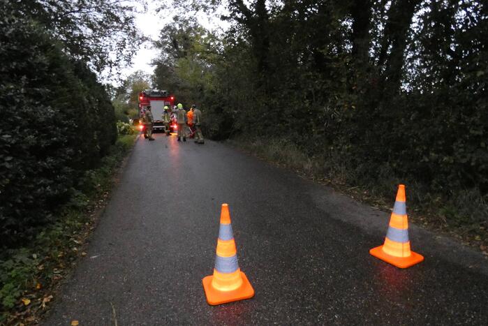Brandweer zaagt boom om