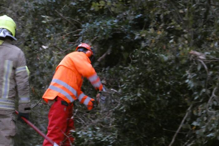 Brandweer zaagt boom om