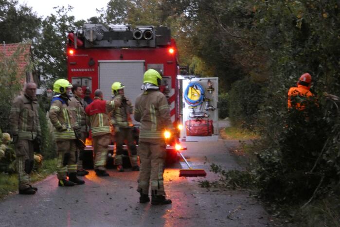 Brandweer zaagt boom om