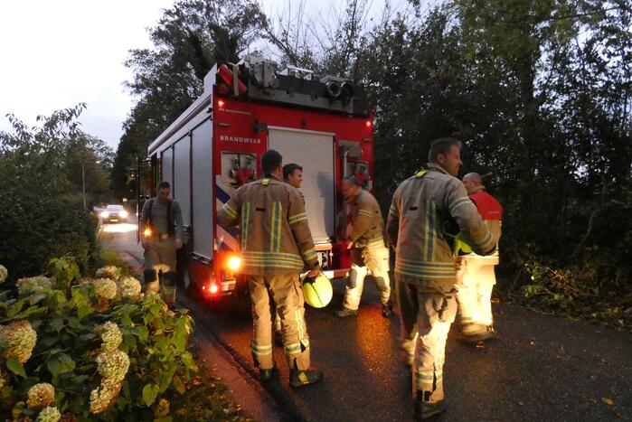Brandweer zaagt boom om