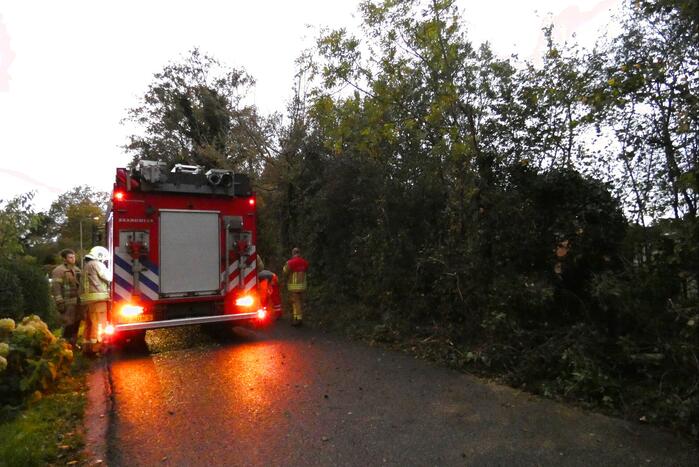 Brandweer zaagt boom om