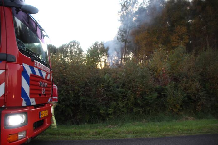 Brandweer blust brandende takken in bos