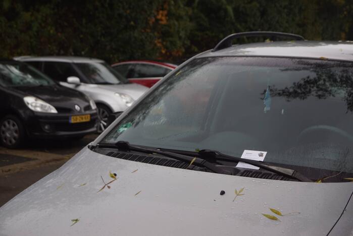 Foutparkeerders op de bon geslingerd bij sportpark