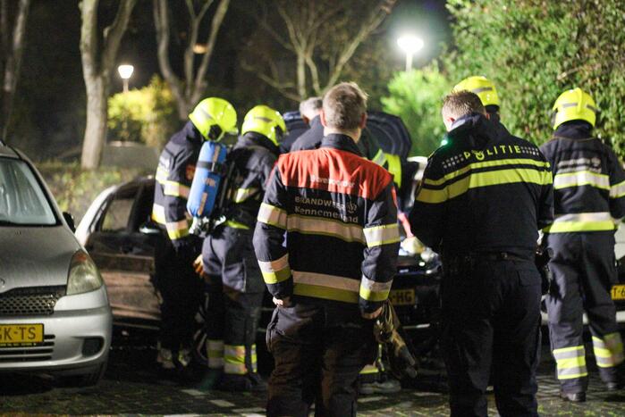 Geparkeerde personenwagen verwoest door brand