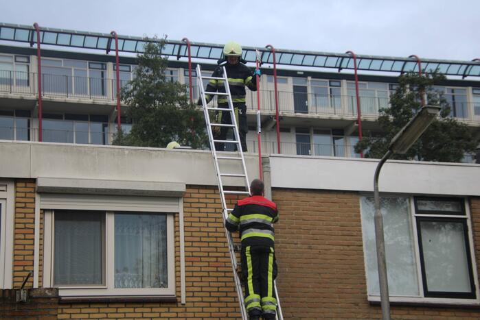 Vogel bevrijdt uit schoorsteenpijp