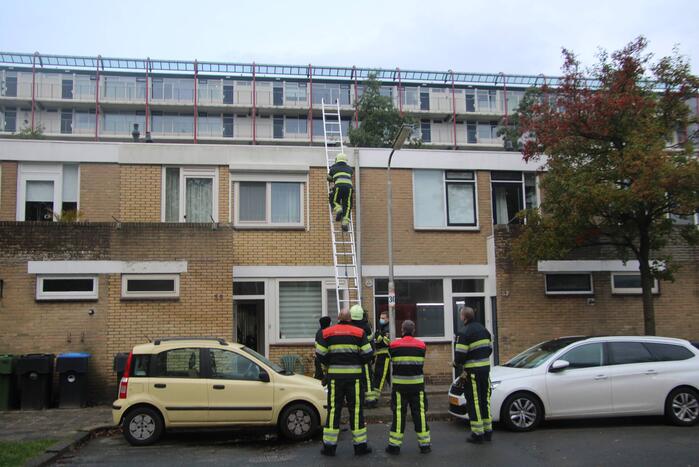 Vogel bevrijdt uit schoorsteenpijp