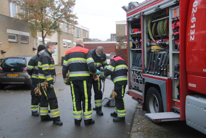 Vogel bevrijdt uit schoorsteenpijp