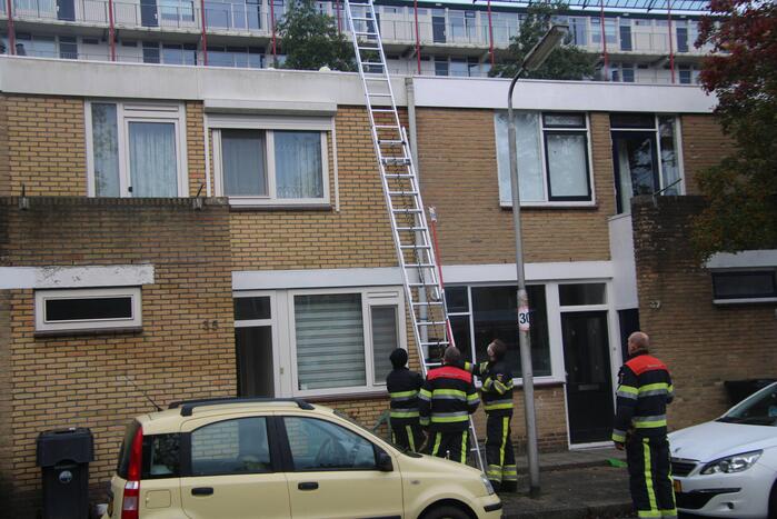 Vogel bevrijdt uit schoorsteenpijp