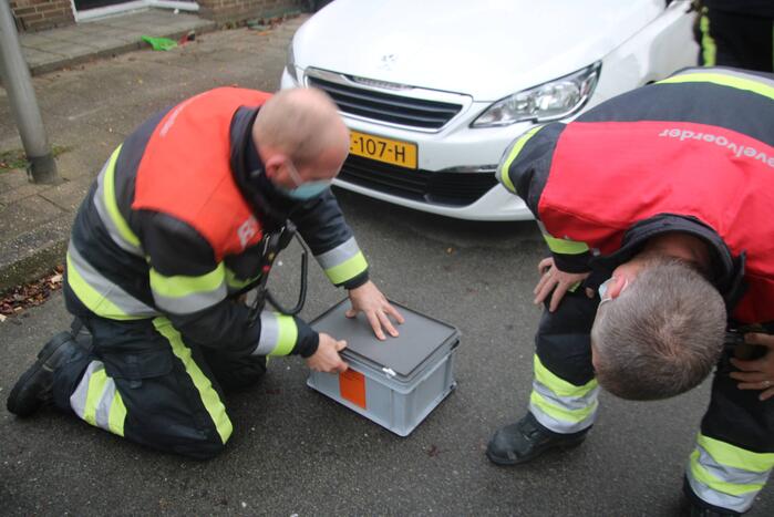Vogel bevrijdt uit schoorsteenpijp
