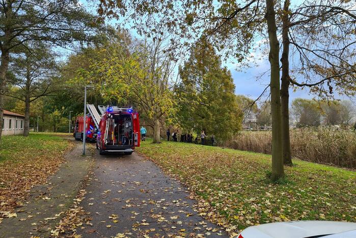 Brandweer haalt persoon uit het water