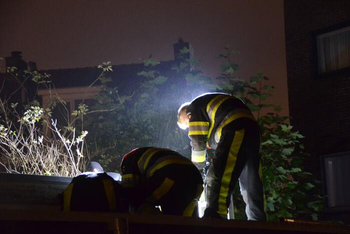 Kat vast tussen muur