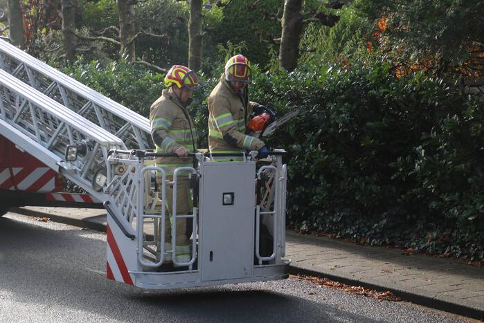 Brandweer zaagt loshangende takken uit boom