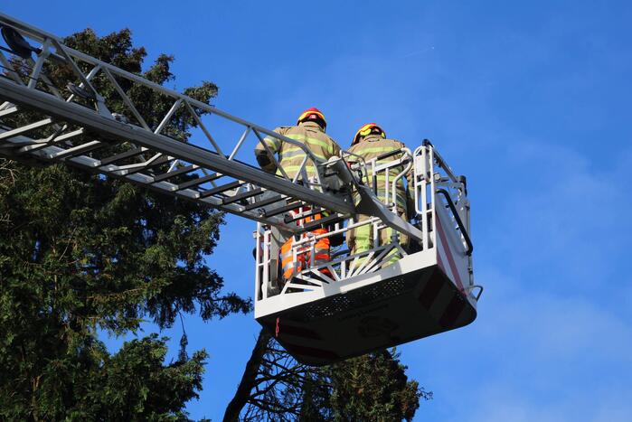 Brandweer zaagt loshangende takken uit boom