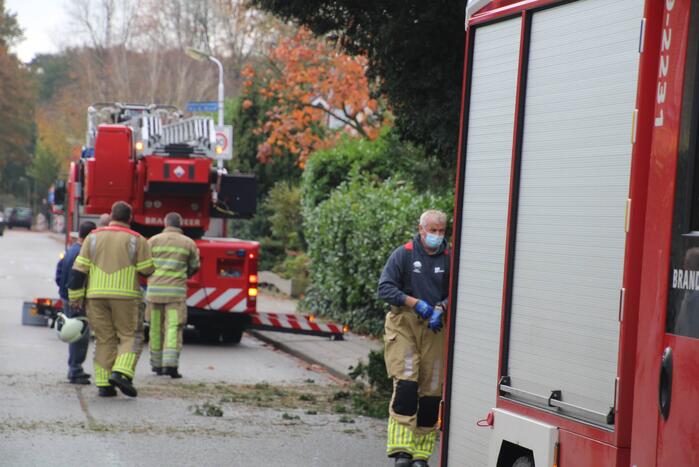 Brandweer zaagt loshangende takken uit boom