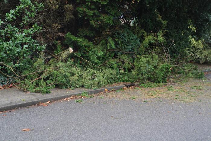 Brandweer zaagt loshangende takken uit boom