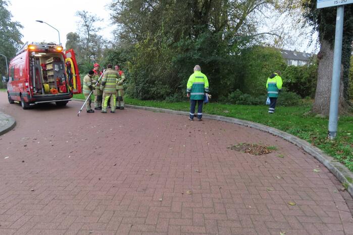 Brandweer redt zwaan uit sloot