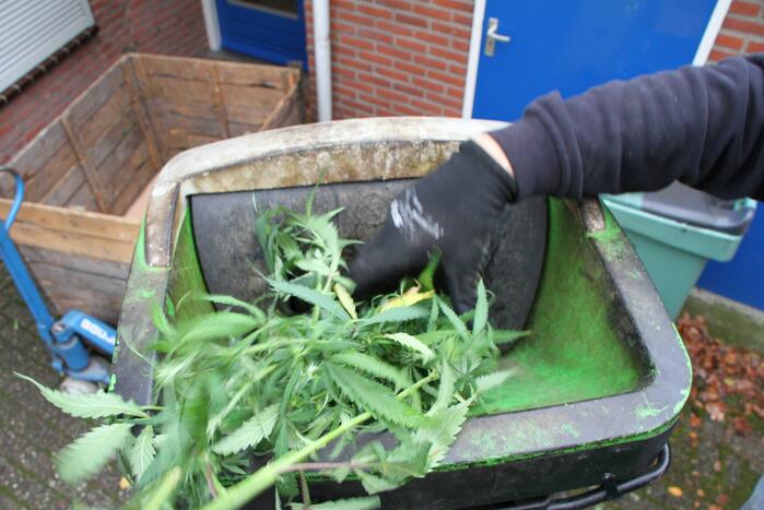 Hennepkwekerij opgerold: een aanhouding