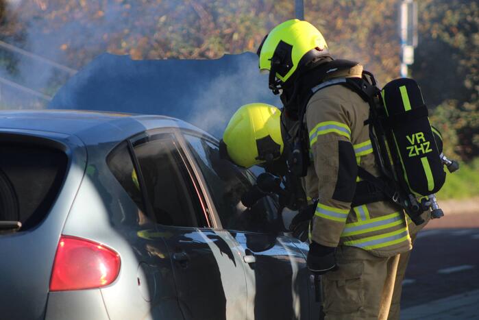 Auto total-loss door brand