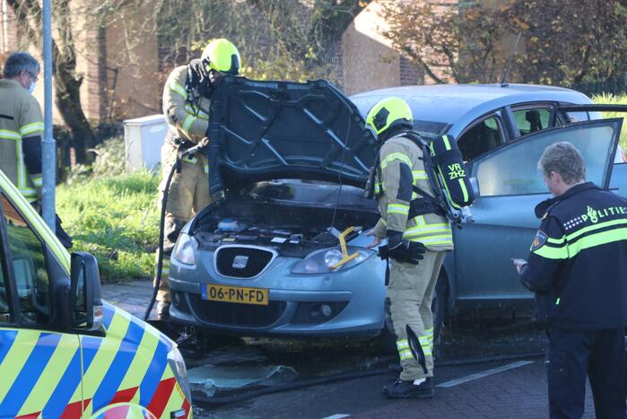 Auto total-loss door brand