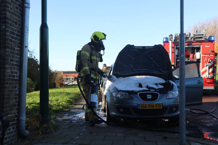 Auto total-loss door brand