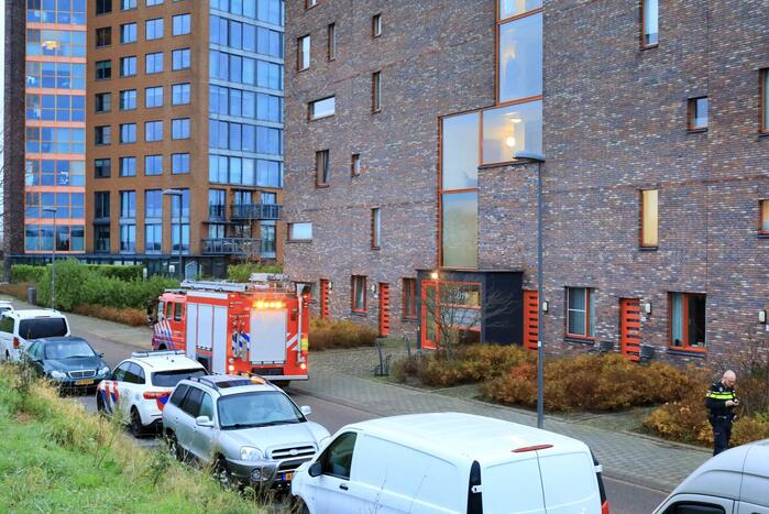 Elektrische haard zet omwonende op het verkeerde been