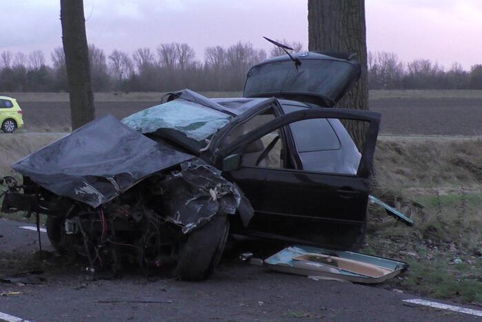 Zwaargewonde bij eenzijdig ongeval met boom