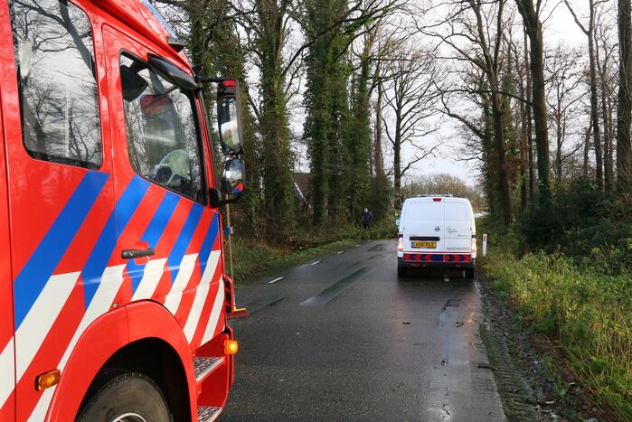 Omgewaaide boom verspert weg