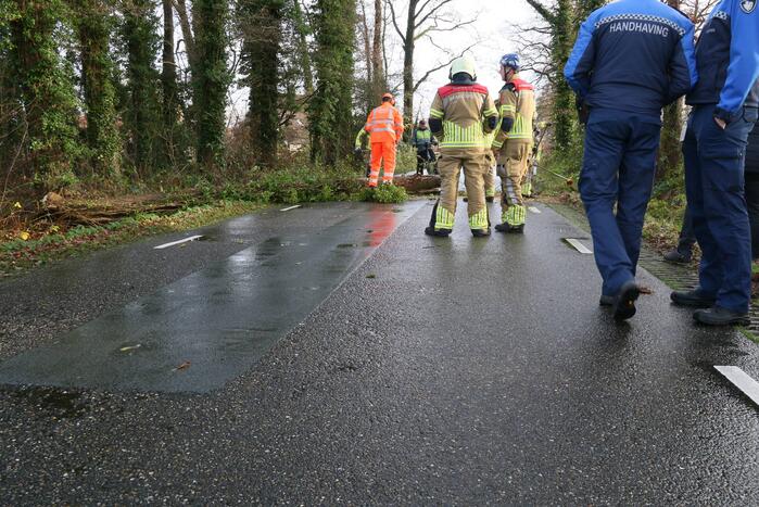 Omgewaaide boom verspert weg