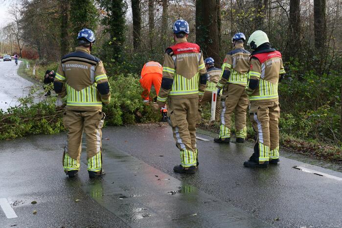 Omgewaaide boom verspert weg