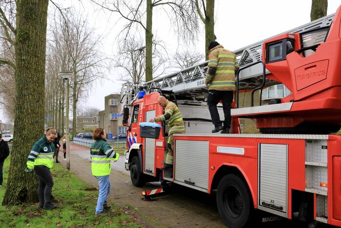 Kat vlucht dak op voor brandweer