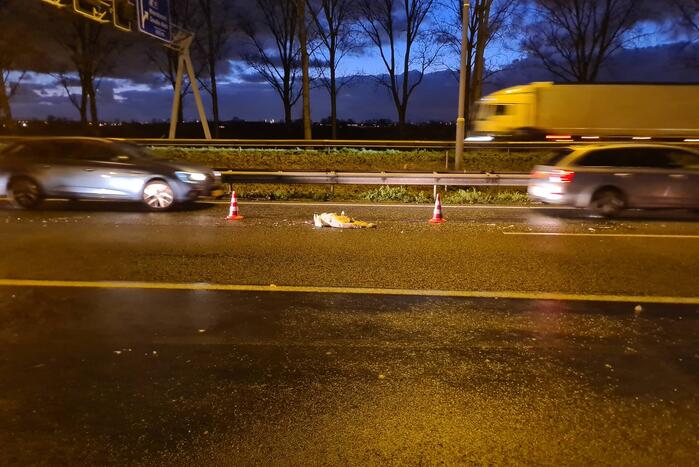 Zwaan aangereden op snelweg