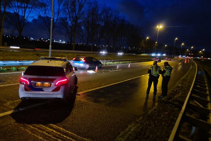 Zwaan aangereden op snelweg