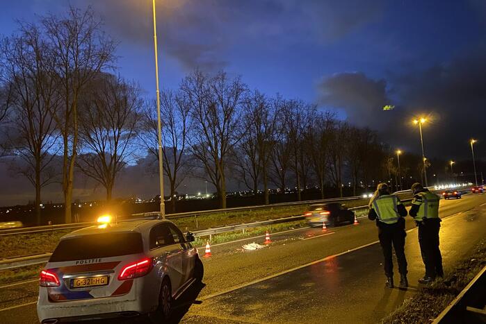 Zwaan aangereden op snelweg