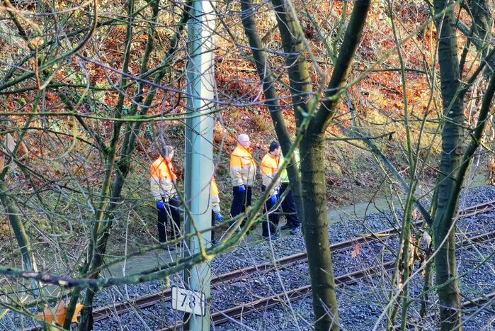 Treinen rijden met lastgeving na aanrijding met dier