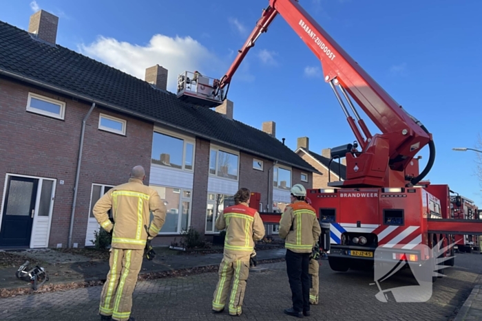 Brandweer blust brand in terrarium