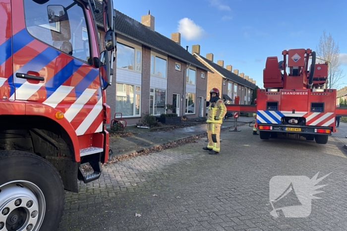 Brandweer blust brand in terrarium