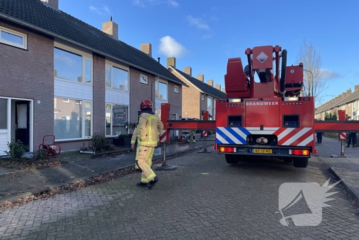 Brandweer blust brand in terrarium