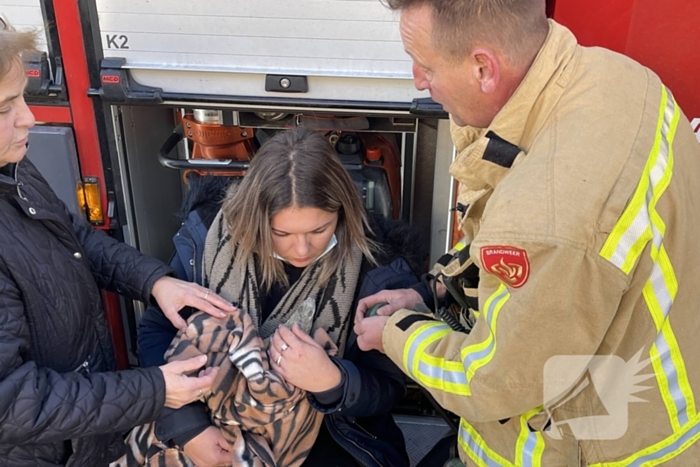 Brandweer blust brand in terrarium