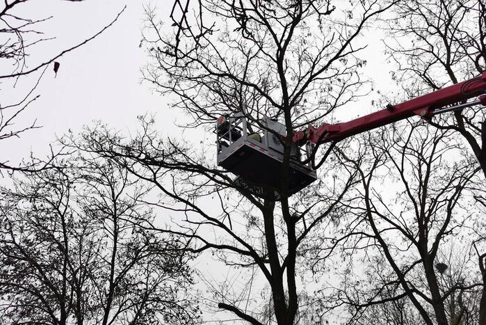 Weg afgesloten door loshangende tak